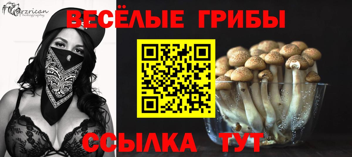 Псилоцибиновые грибы мицелий  Псилоцибиновые грибы прущие грибы  Кузнецк  Вход с VPN 